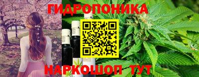 трава Краснокаменск