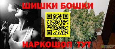 индика Краснознаменск