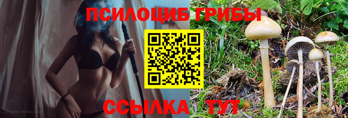 Галлюциногенные грибы прущие грибы Ессентуки